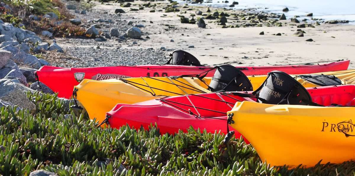 How to Choose A Throw bag Kayak Manual