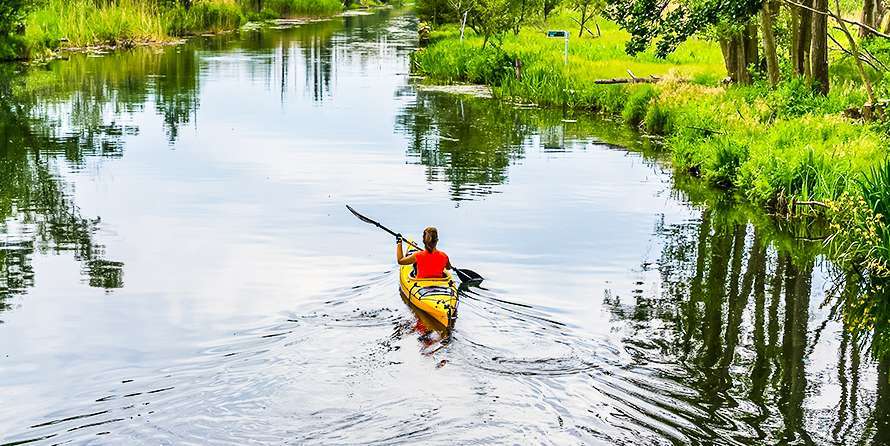Kayak Paddle Holders