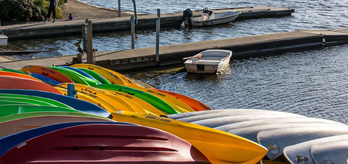 How to Choose Your Kayak Blade Size Kayak Manual