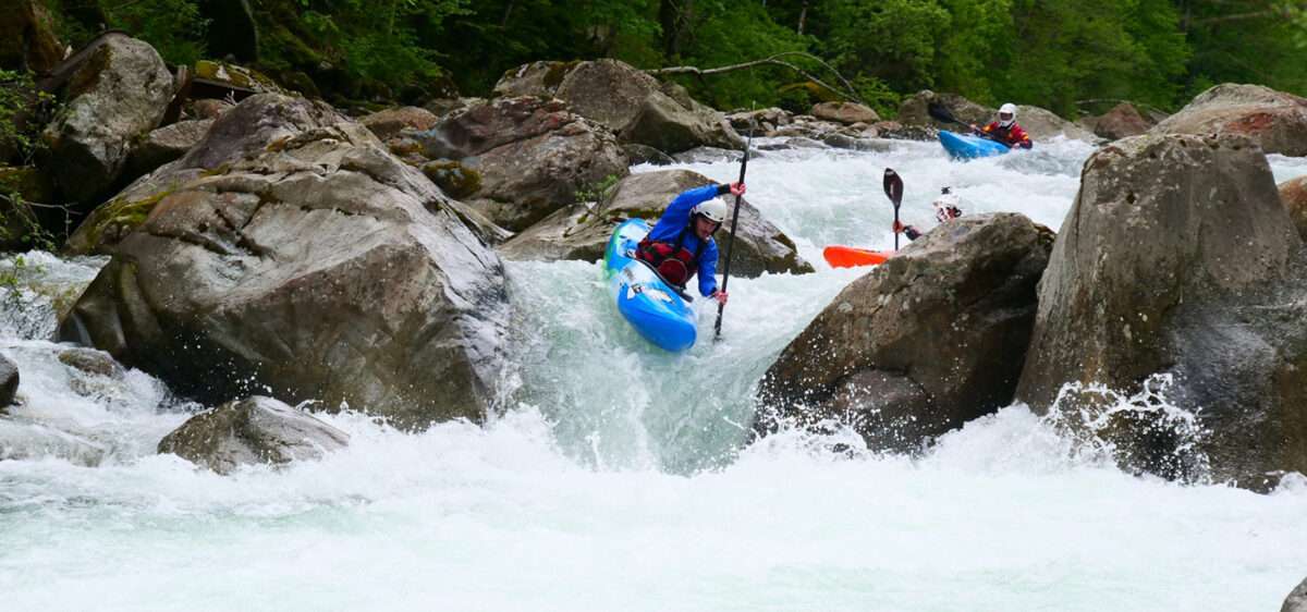 Anatomy of a Paddle Stroke Kayak Manual