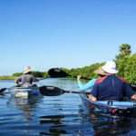 Kayak in Lexington