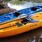 What Kind of Kayaker Are You