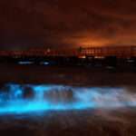 Guide to Bioluminescent Kayaking in Orlando