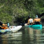 Why do kayakers throw their paddles